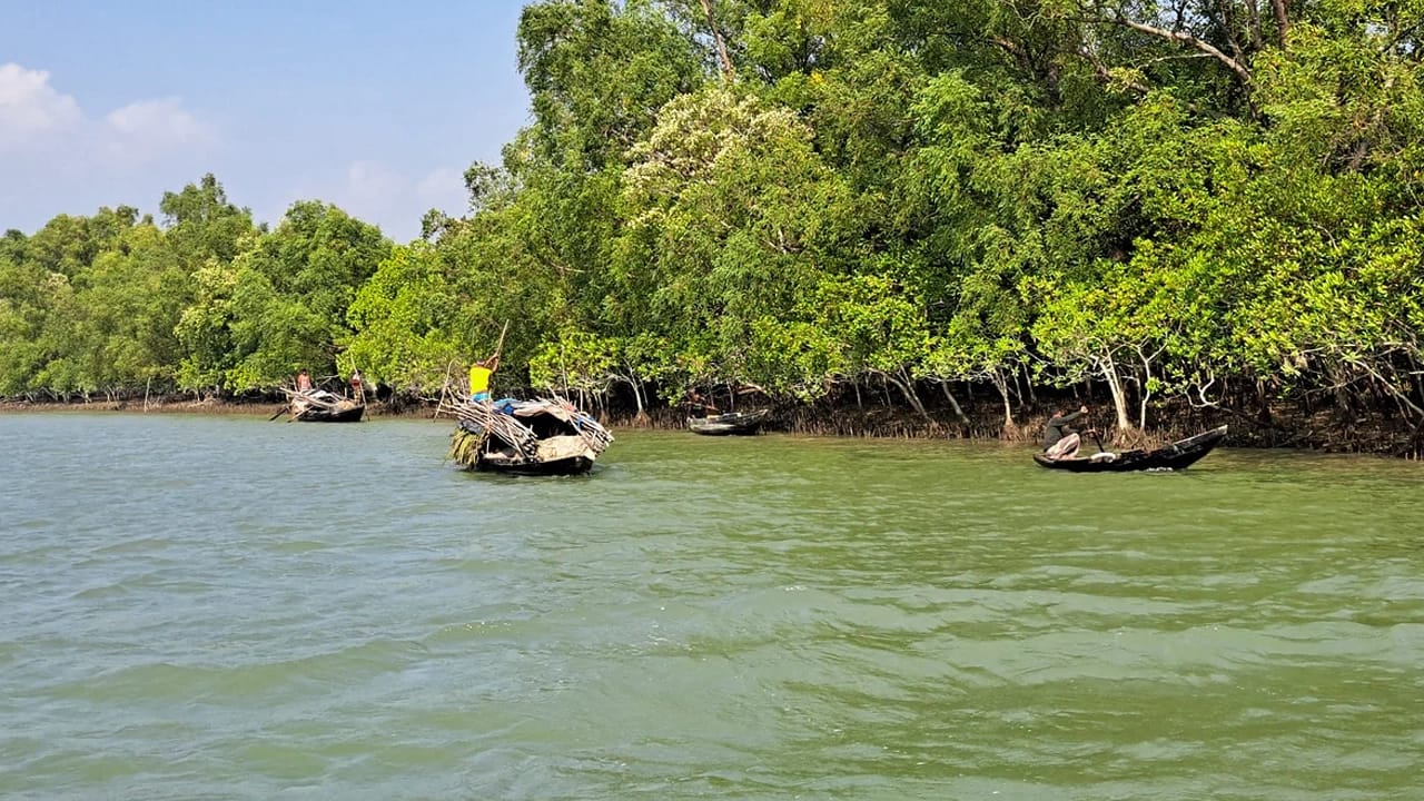 Sundarbans Slide 3